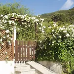 Bed & Breakfast Dei Limoni SantʼAndrea