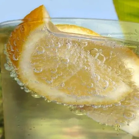 فندق مبيت وإفطار Dei Limoni