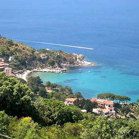 Dei Limoni